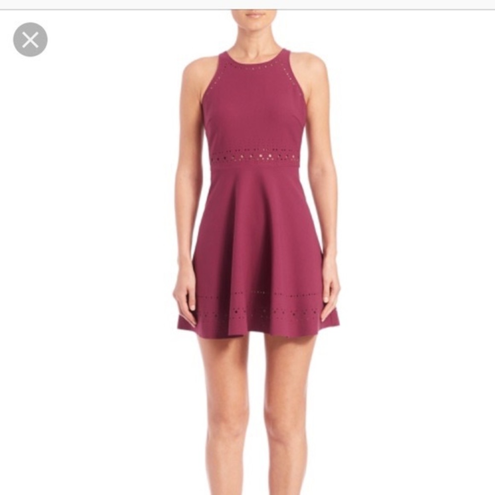 Elizabeth and James Mirna Laser Cut Fit Flair Cocktail Dress